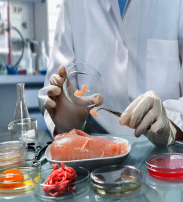 Food And Beverage Analysis Testing